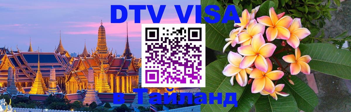 Сколько стоит DTV виза — актуальные цены, оформление даже без документов - Тверь 